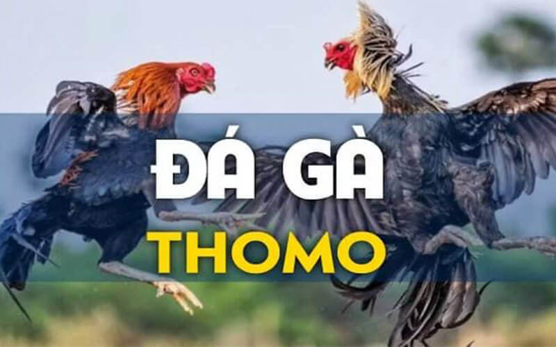 https://golfreise.eu.com/da-ga-thomo/