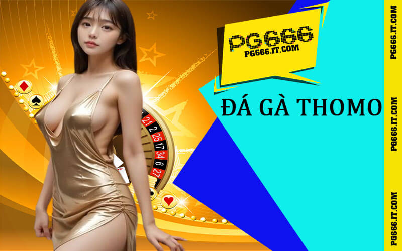 Đá Gà Thomo - PG66 Cung Cấp Bí Thuật Giành Chiến Thắng 1 Đá gà Thomo